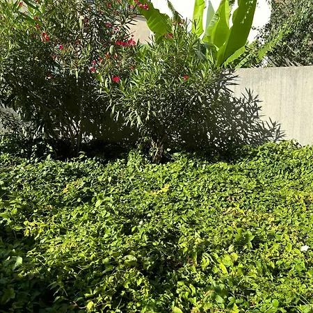 Apartament Breeze In The *